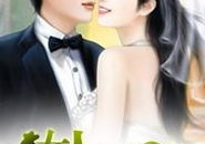 他似火(军婚 高干 婚恋),军婚高干的爱火燃烧